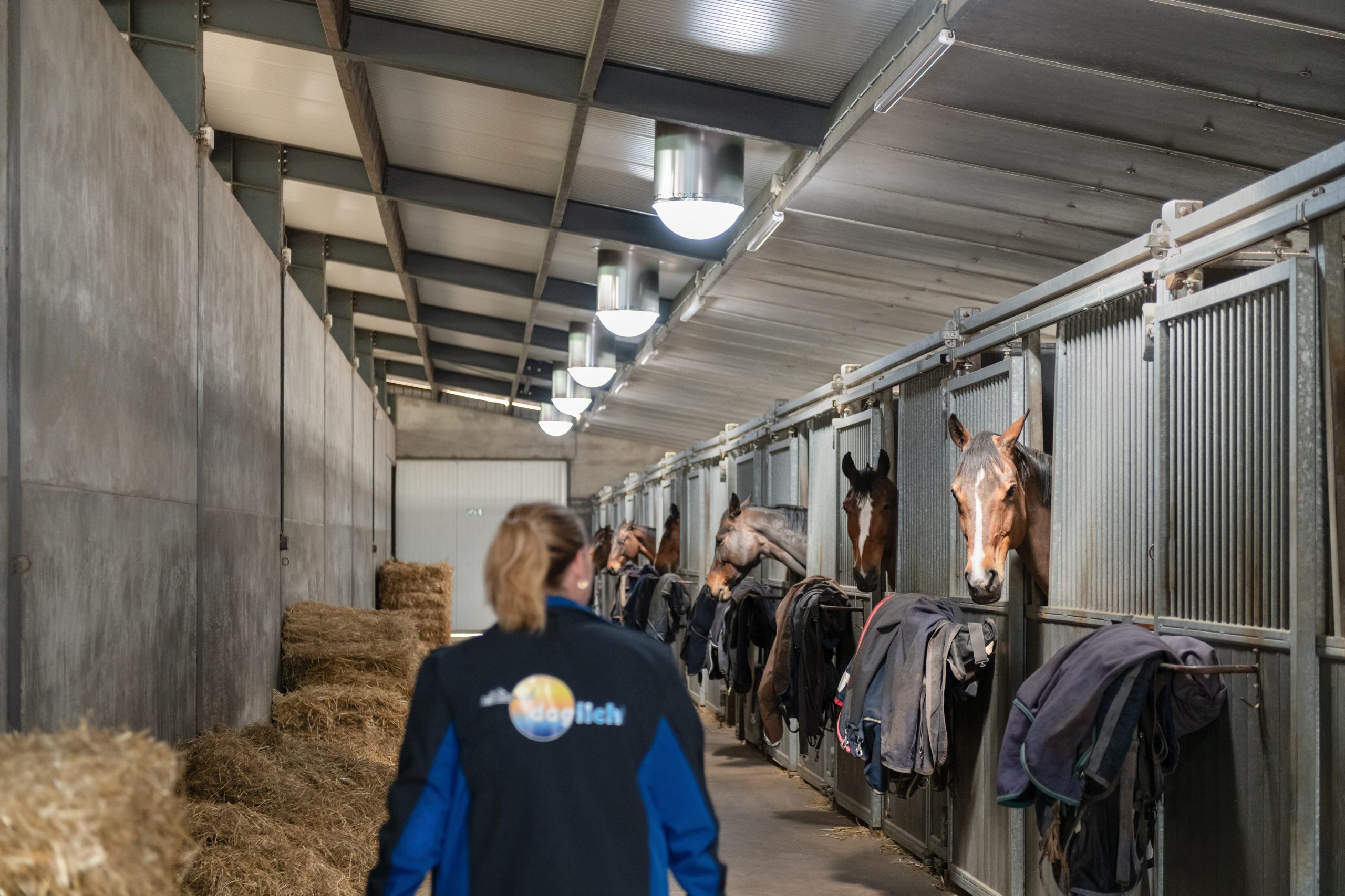 LMF_20250430_Natuurlijk_Daglicht_018_aangepast